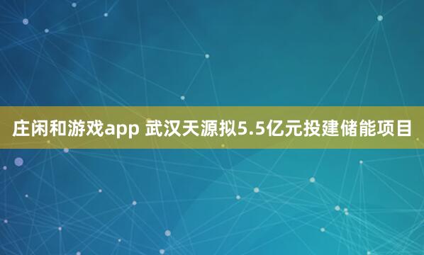 莊閑和游戲app 武漢天源擬5.5億元投建儲能項目