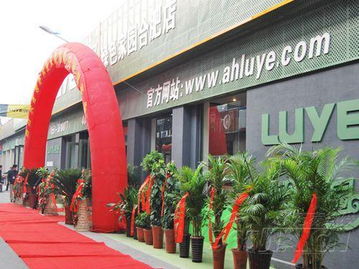 綠野綠色家園安徽旗艦店盛大開業，引領綠色建材新風尚